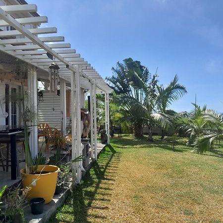 Chambre Vue Sur Mer Entre Grande Anse Et Manapany Petite Île Esterno foto