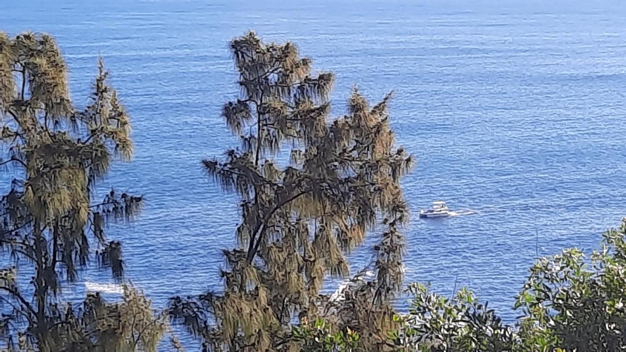 Chambre Vue Sur Mer Entre Grande Anse Et Manapany Petite Île Esterno foto