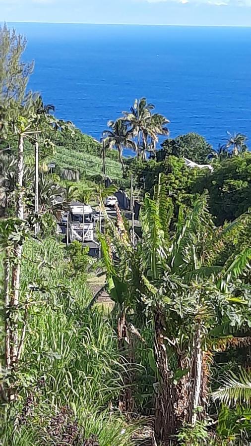 Chambre Vue Sur Mer Entre Grande Anse Et Manapany Petite Île Esterno foto
